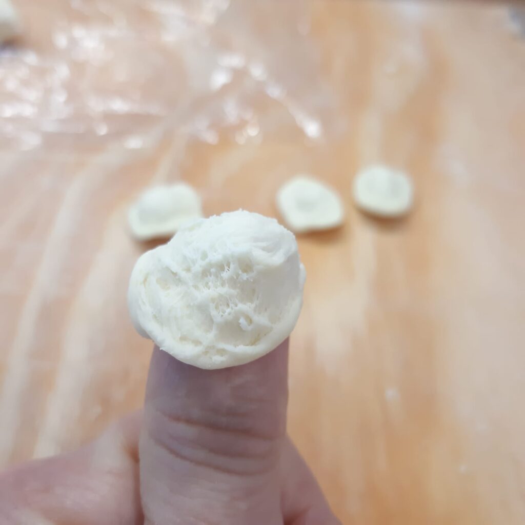 orecchiette fatte in casa