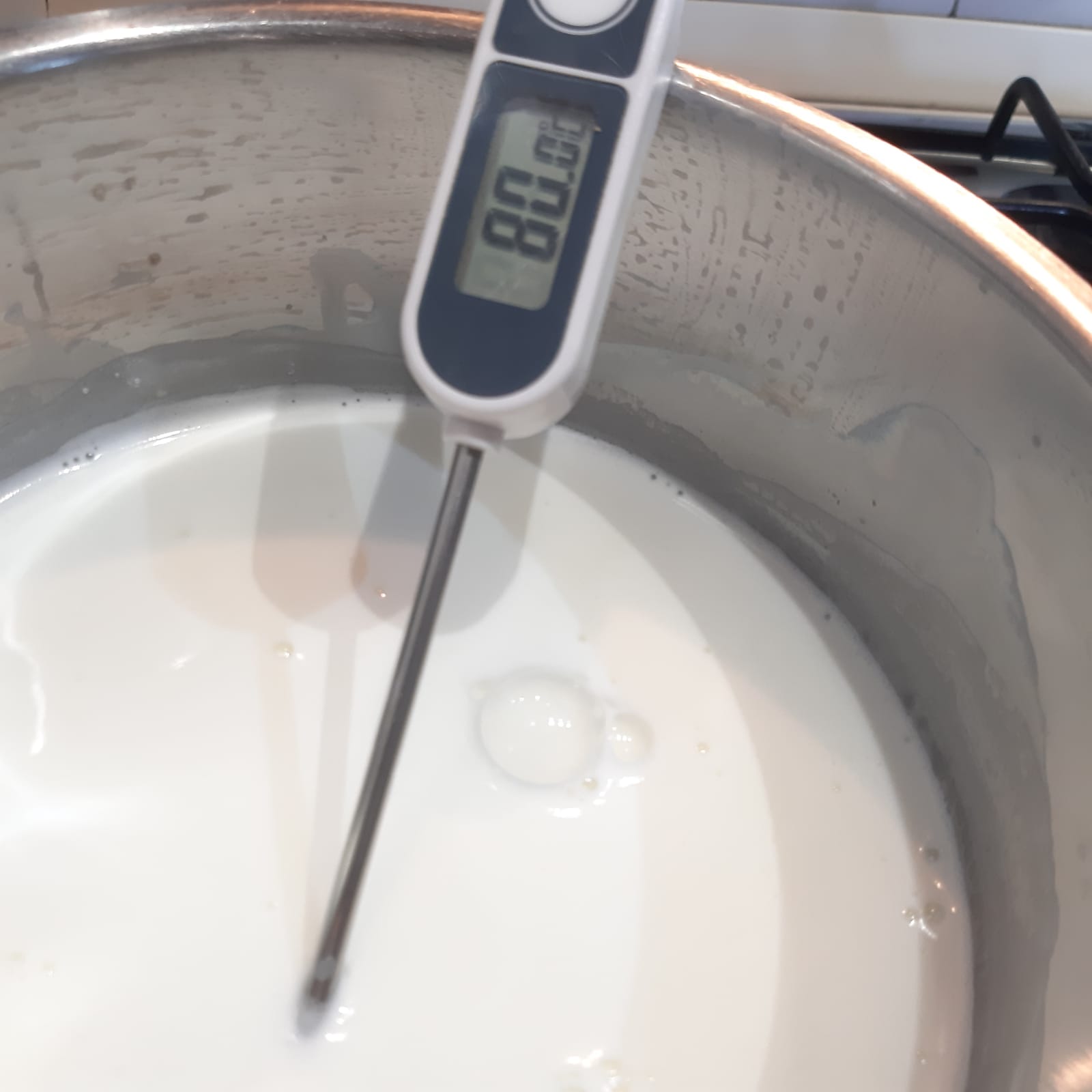 ricotta fresca fatta in casa
