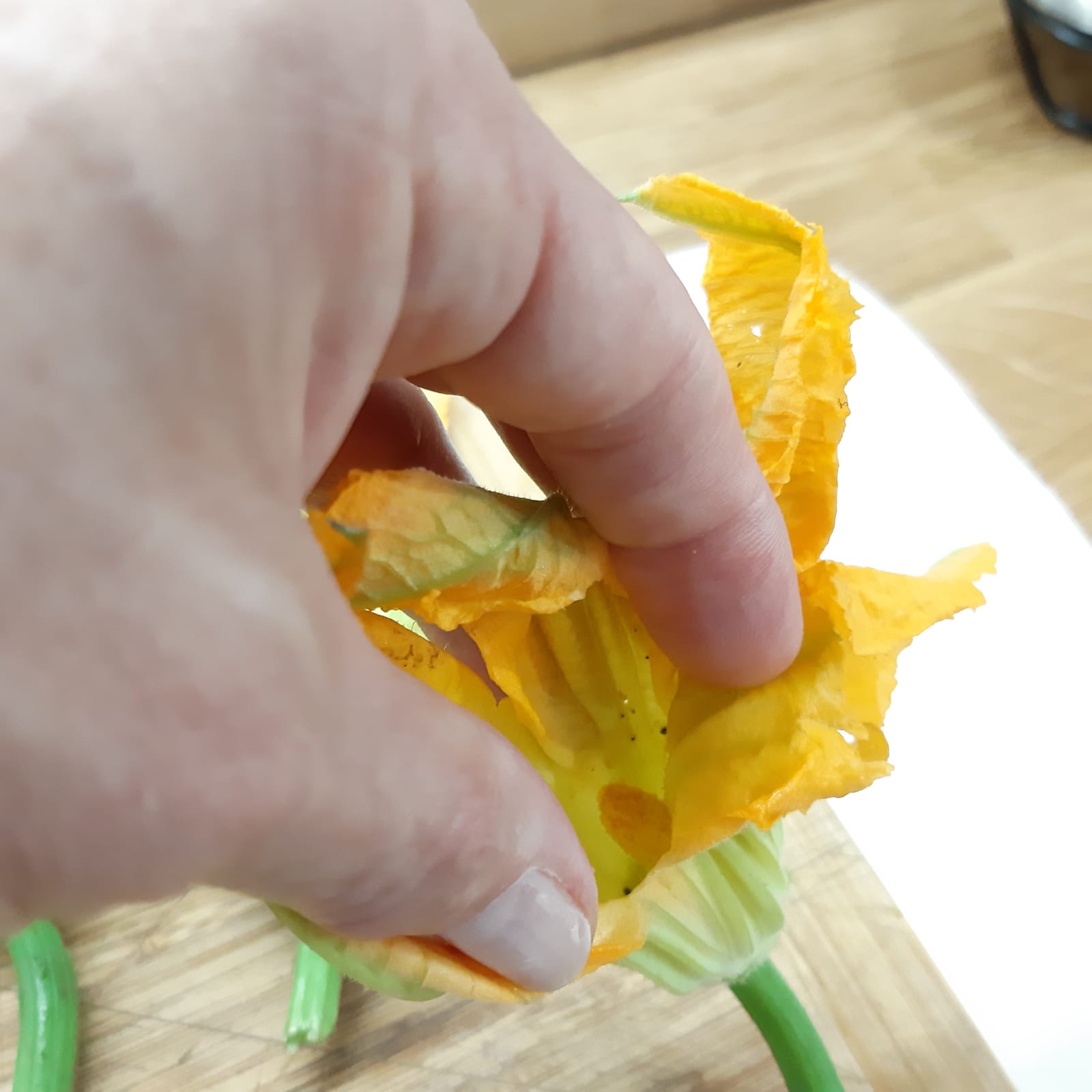 fiori di zucca ripieni cotti al forno