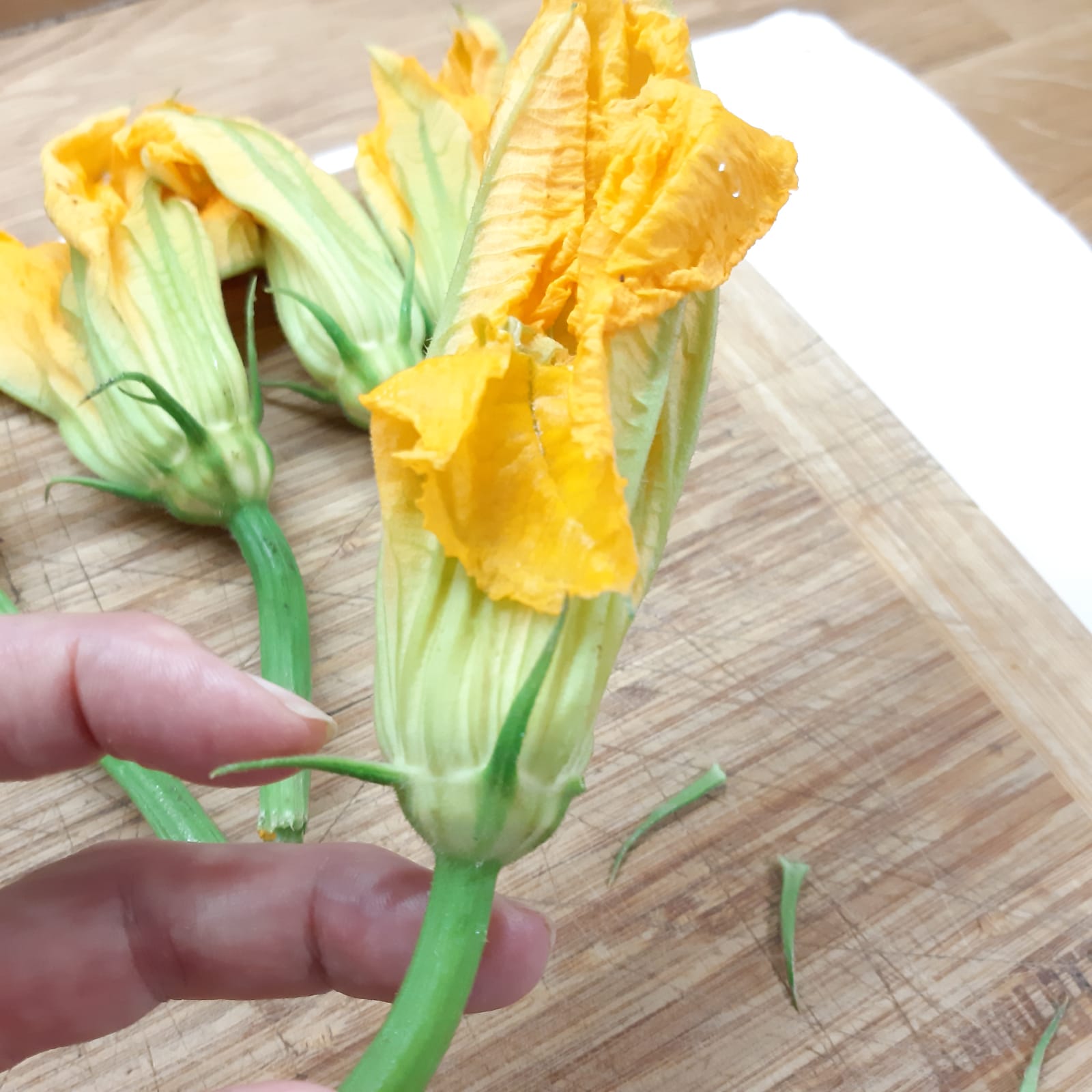fiori di zucca ripieni cotti al forno