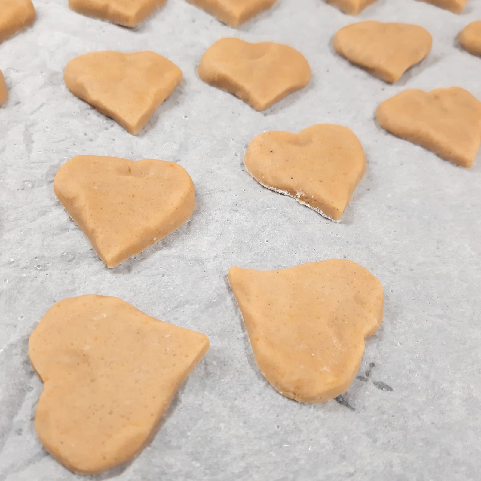 BISCOTTI CASTAGNOTTI