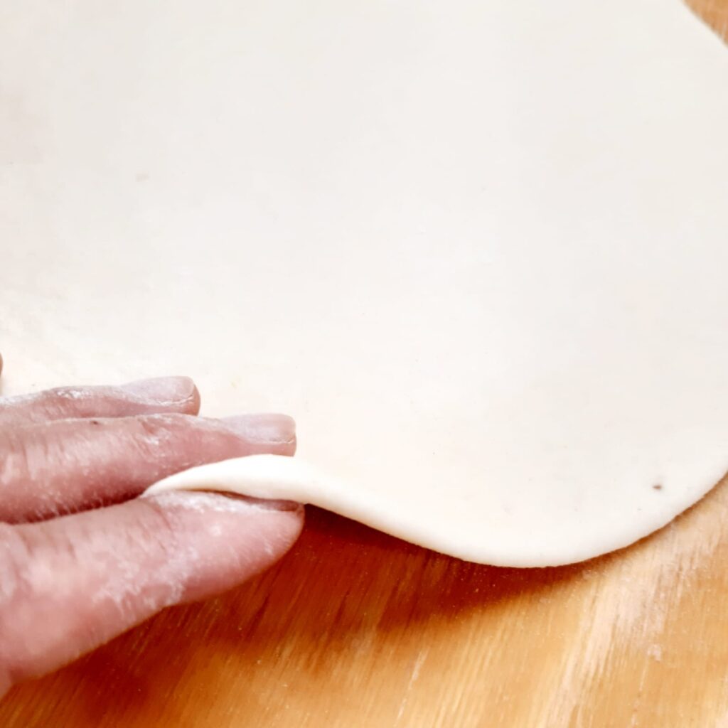 pizzette pomodoro e mozzarella senza lievitazione