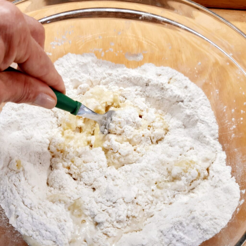 pizzette pomodoro e mozzarella senza lievitazione