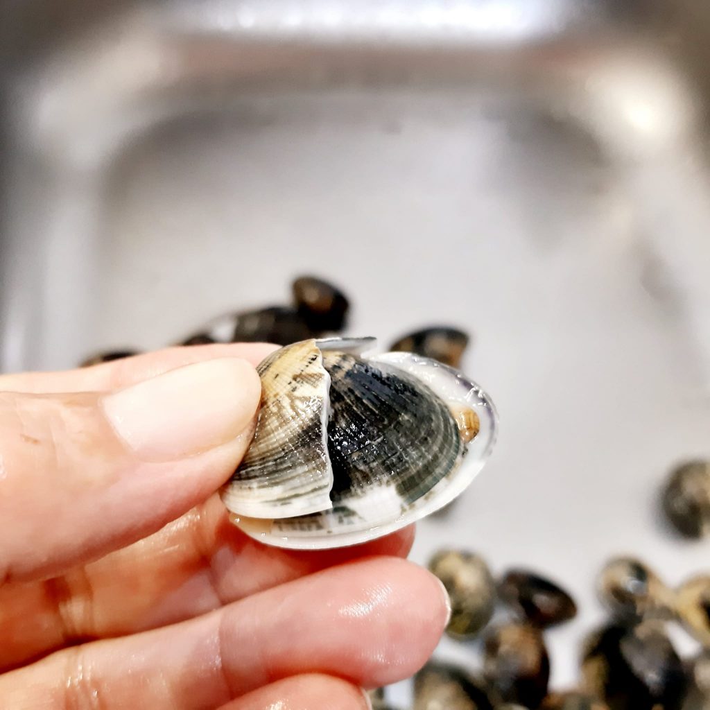 spaghetti con vongole veraci e pomodorini