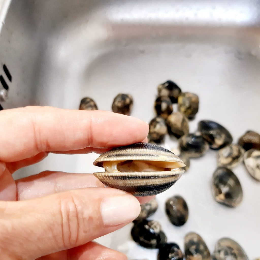 spaghetti con vongole veraci e pomodorini