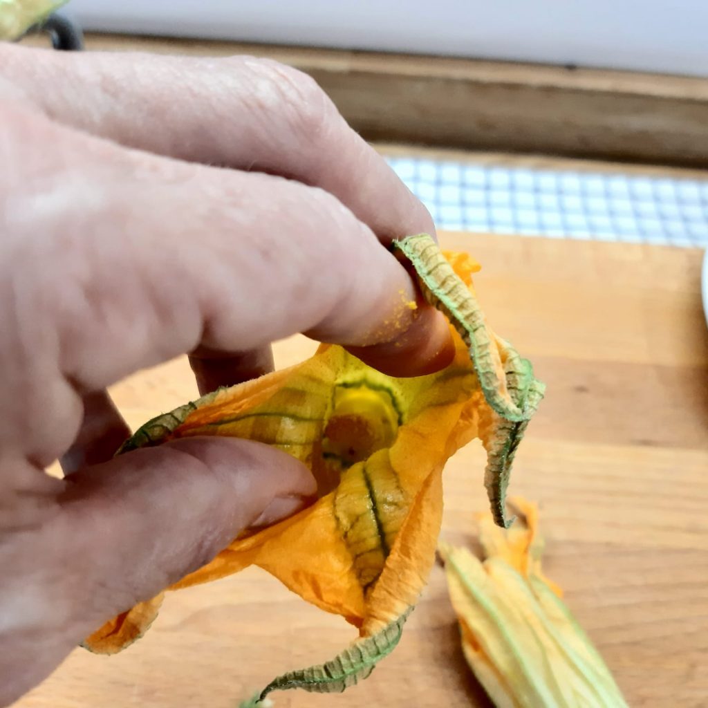 fiori di zucca al forno con pomodoro