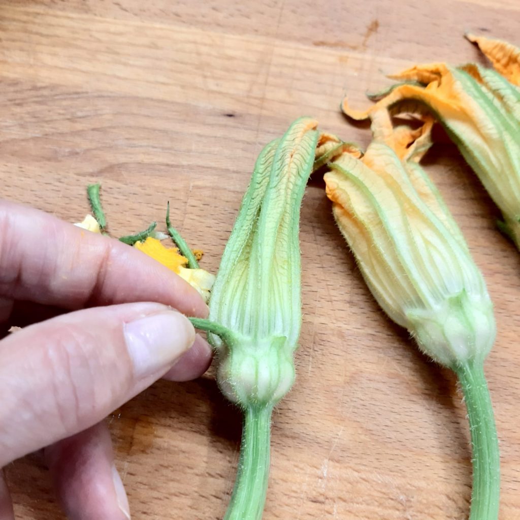 fiori di zucca al forno con pomodoro