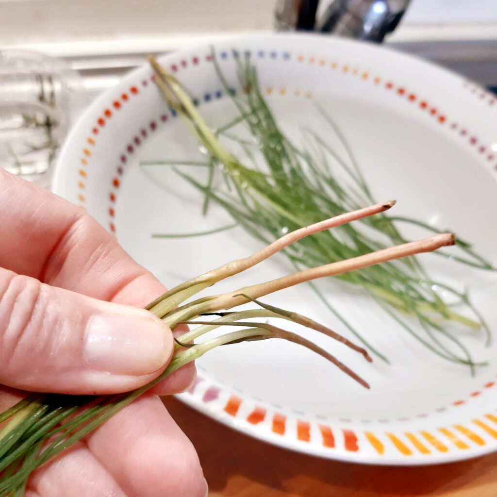 agretti in salsa di alici